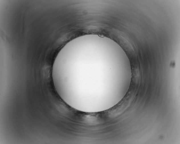 X0000102370232200808151842