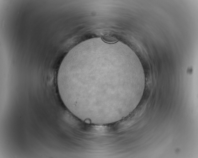 X0000102370233200808151842