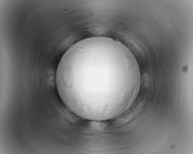 X0000102370234200808151842