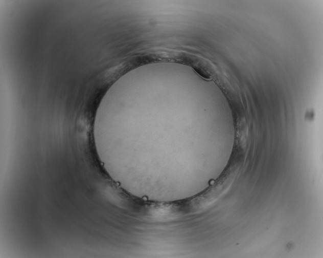 X0000102370235200808151842