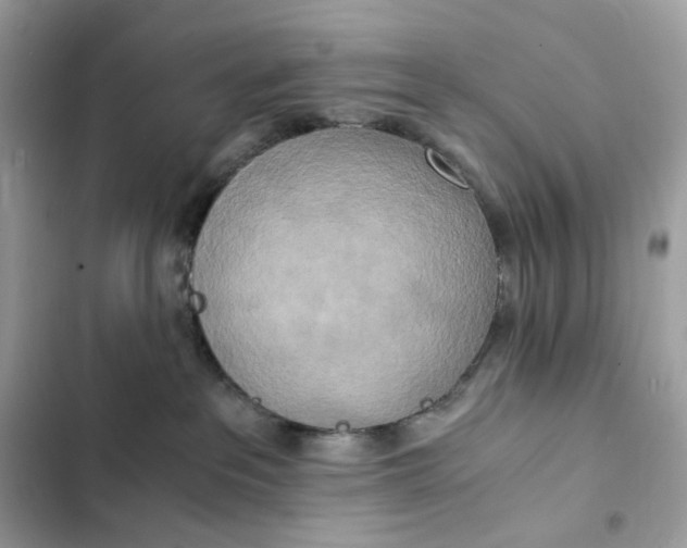 X0000102370237200808151842