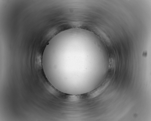 X0000102370238200808151842