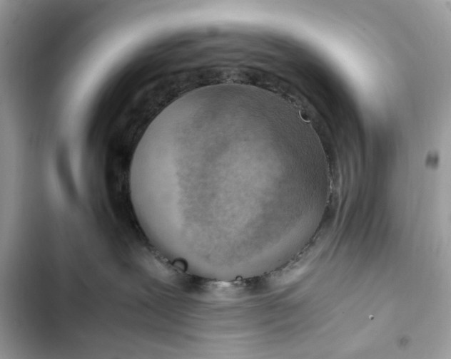 X0000102370239200808151842