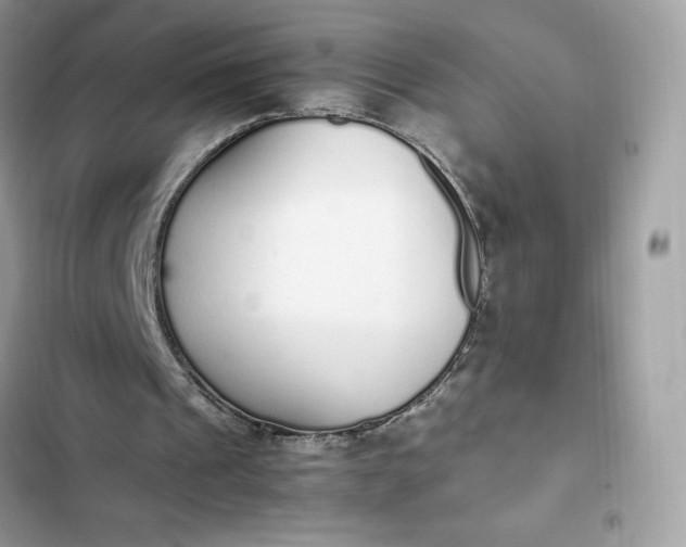 X0000102370241200808151841