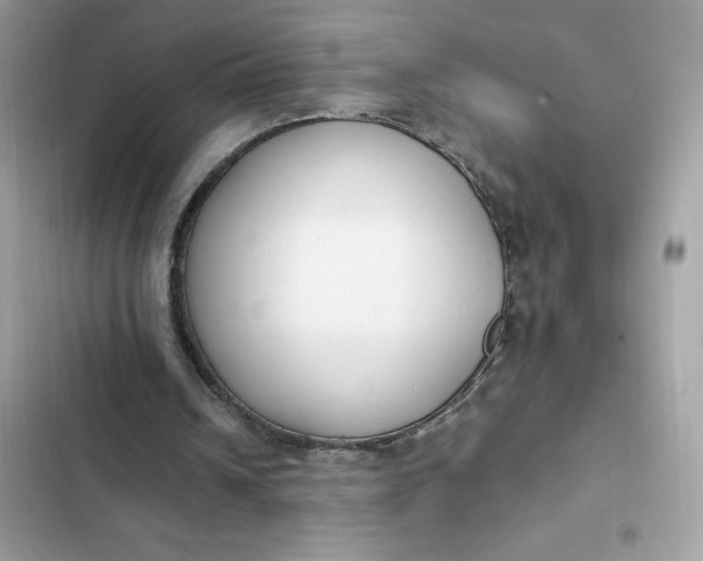 X0000102370242200808151841