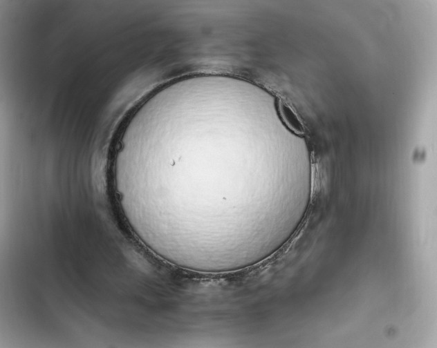 X0000102370243200808151841