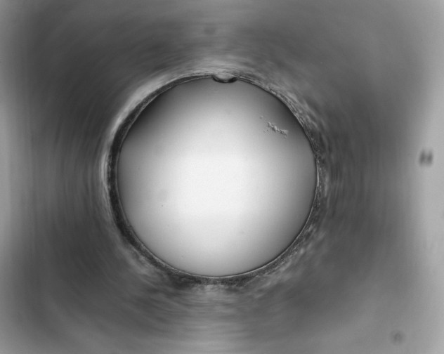 X0000102370244200808151841