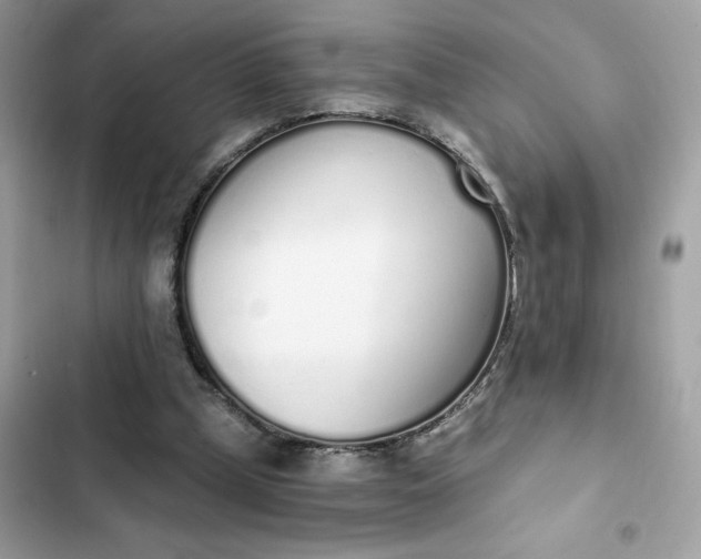 X0000102370249200808151842