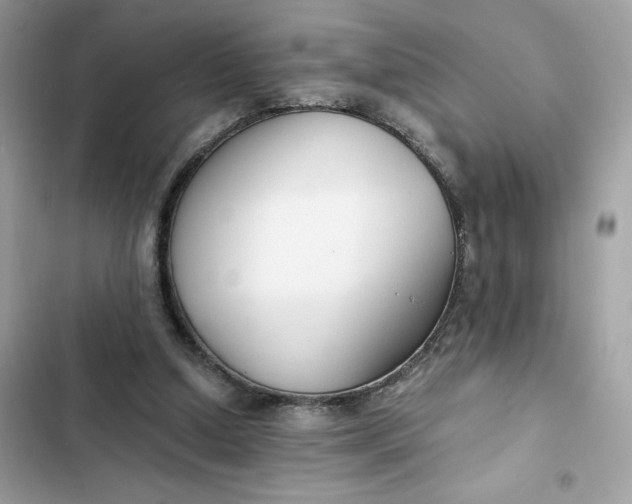 X0000102370250200808151842