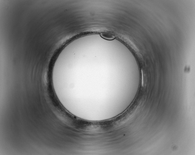 X0000102370252200808151842