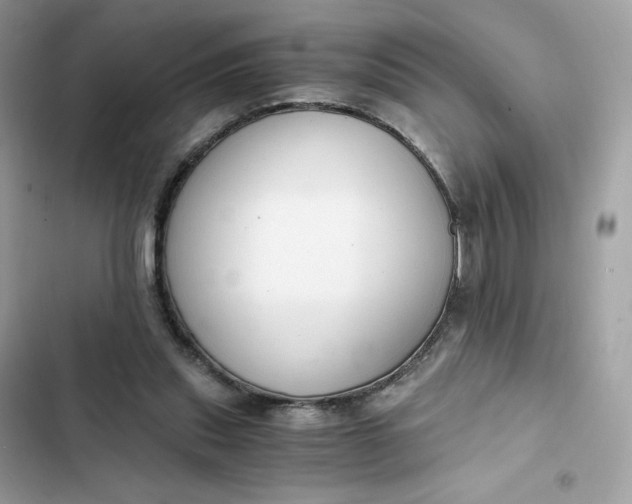 X0000102370253200808151842