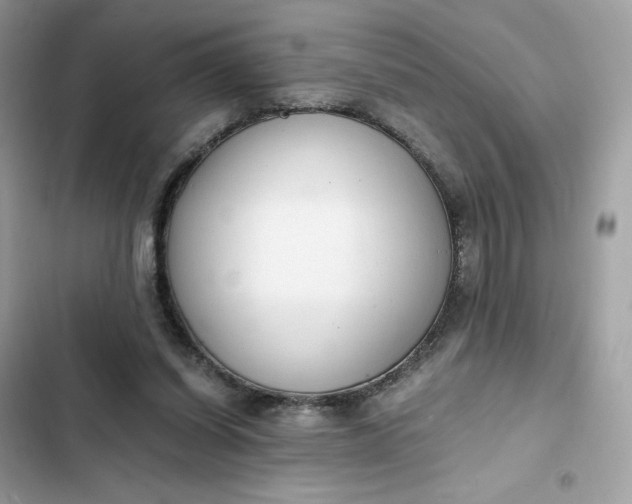 X0000102370254200808151842