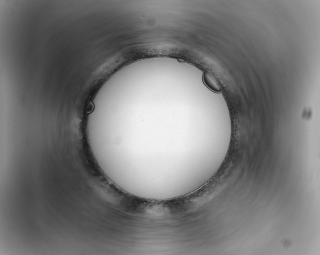 X0000102370258200808151842