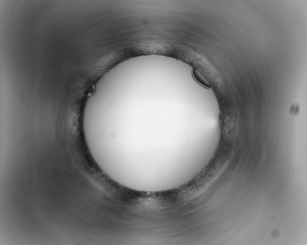 X0000102370259200808151842