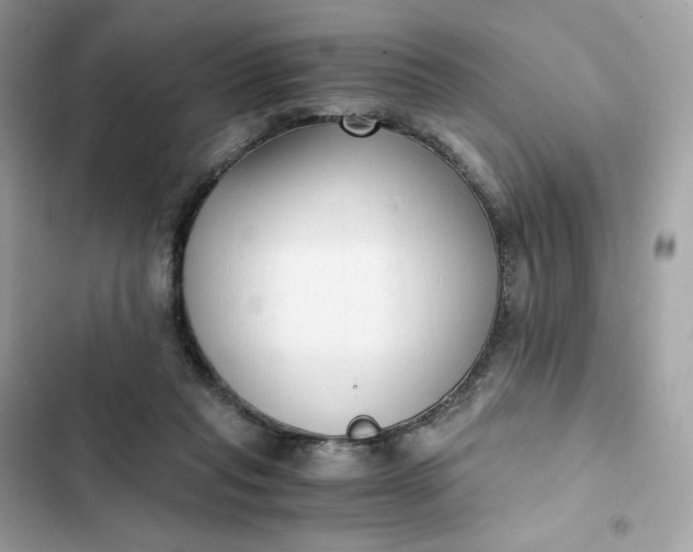 X0000102370261200808151842