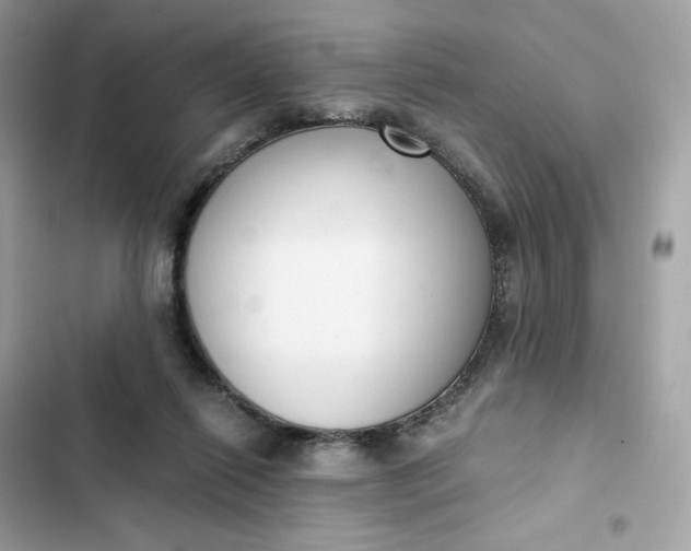 X0000102370262200808151842