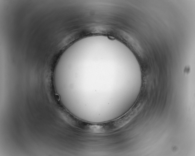 X0000102370265200808151842