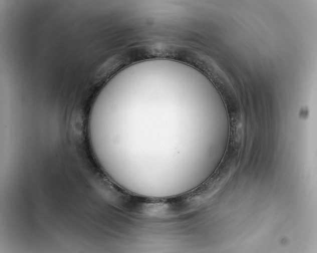 X0000102370266200808151842