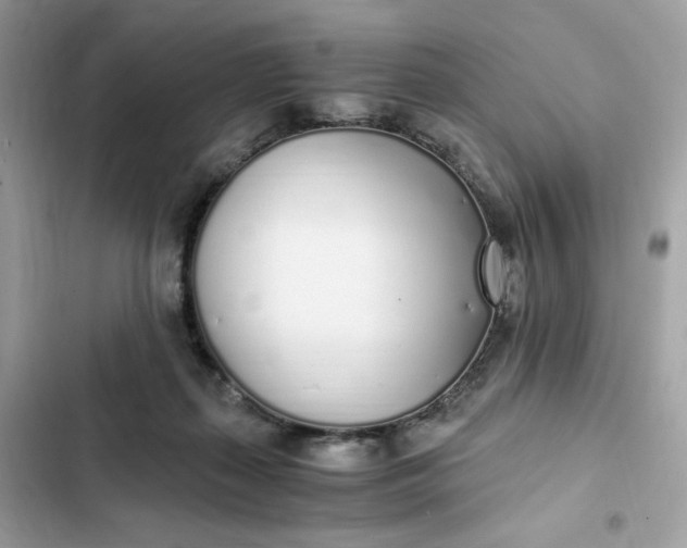 X0000102370267200808151842