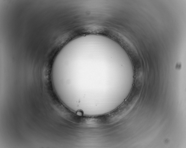 X0000102370268200808151842