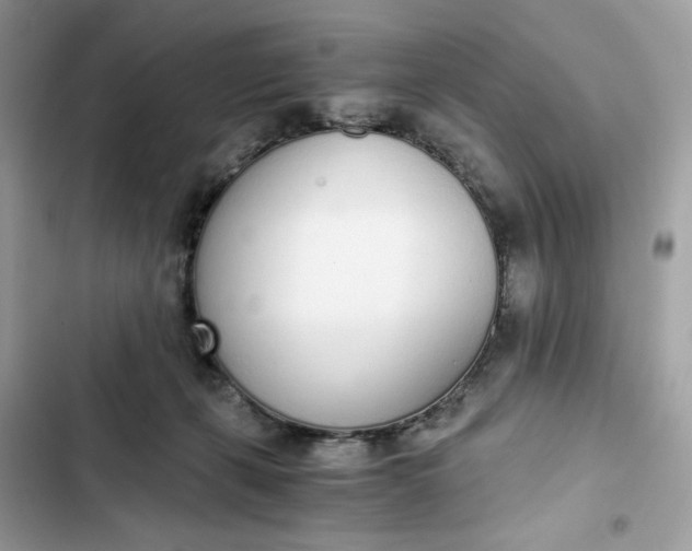 X0000102370271200808151842