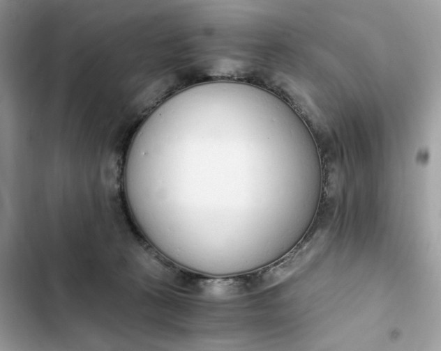 X0000102370273200808151842