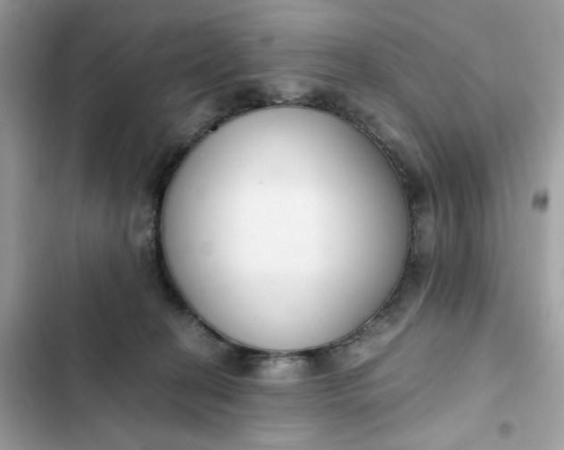 X0000102370274200808151842