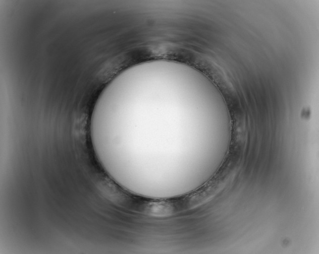 X0000102370275200808151842