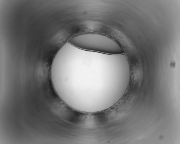 X0000102370276200808151842