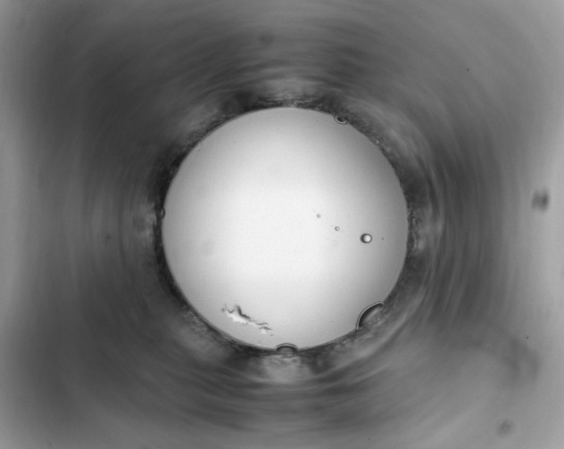 X0000102370279200808151842