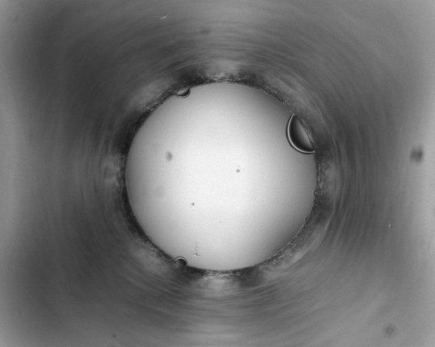 X0000102370280200808151842