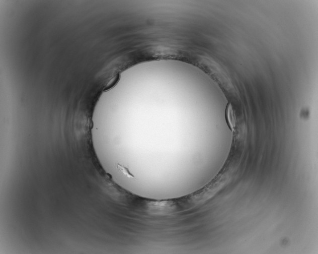 X0000102370281200808151842