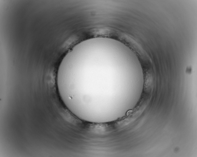 X0000102370282200808151842