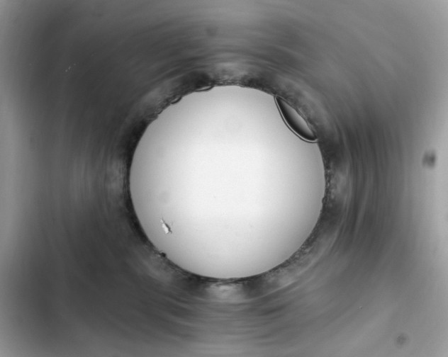 X0000102370283200808151842