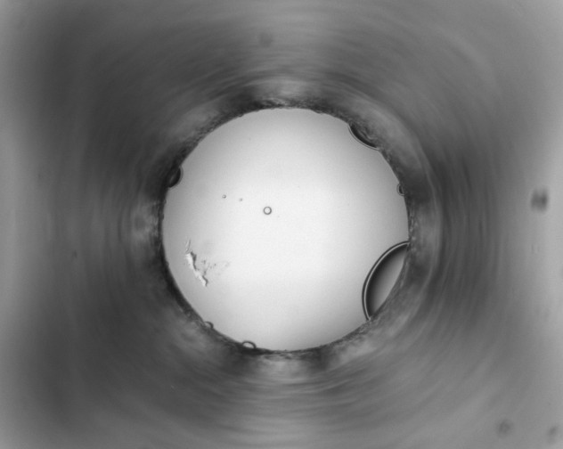 X0000102370284200808151842