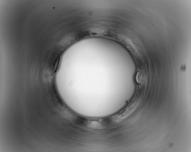 X0000102370285200808151842