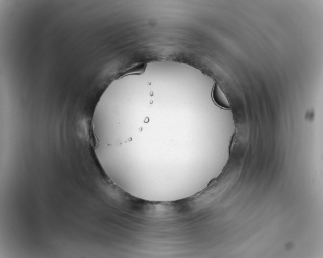 X0000102370286200808151842