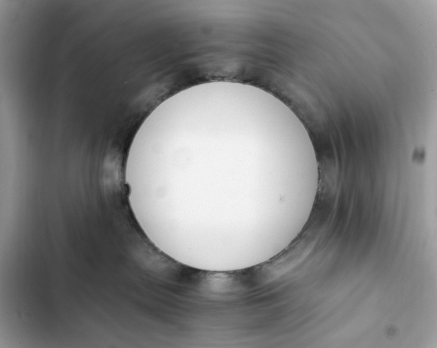 X0000102370287200808151842