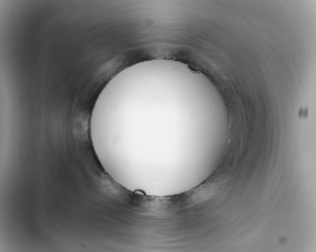 X0000102370288200808151842