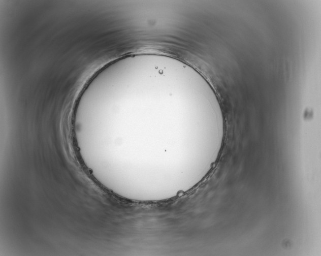 X0000102370289200808151841