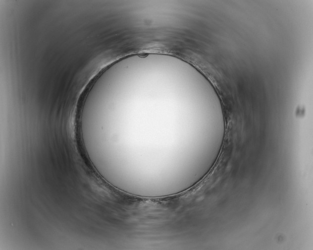 X0000102370290200808151841