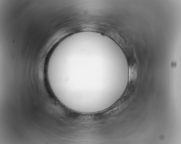 X0000102370291200808151841