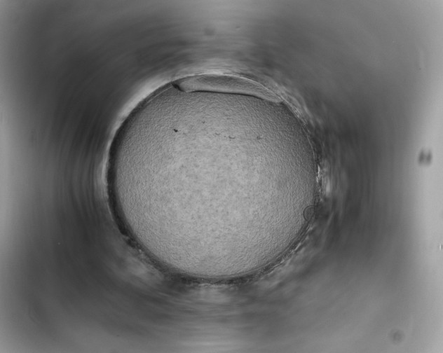 X0000102370292200808151841