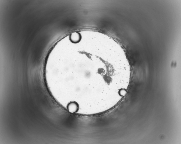 X0000102370293200808151841