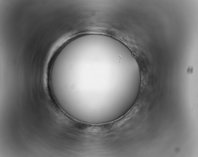 X0000102370294200808151841