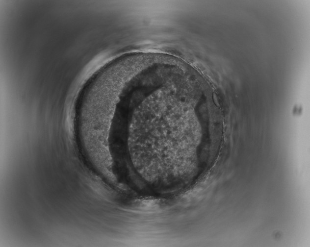 X0000102370295200808151841