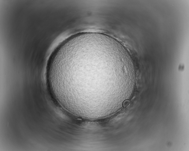 X0000102370296200808151841