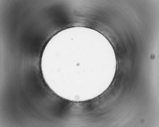 X0000102370297200808151841