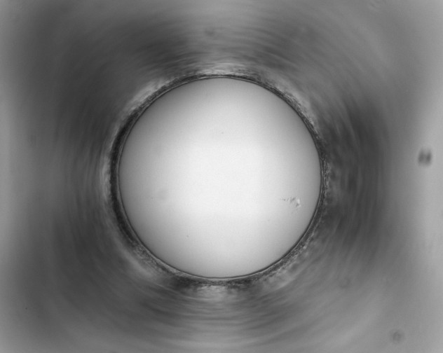 X0000102370298200808151841