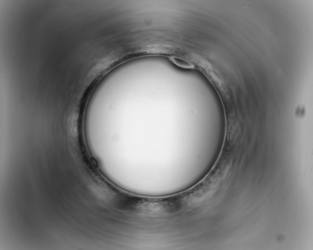 X0000102370299200808151841